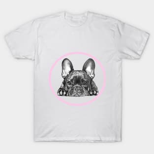 Little Frenchie T-Shirt